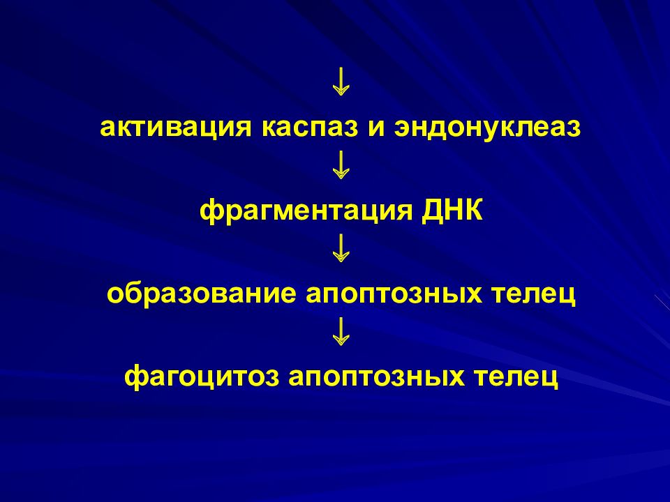 Повреждение клетки патофизиология презентация