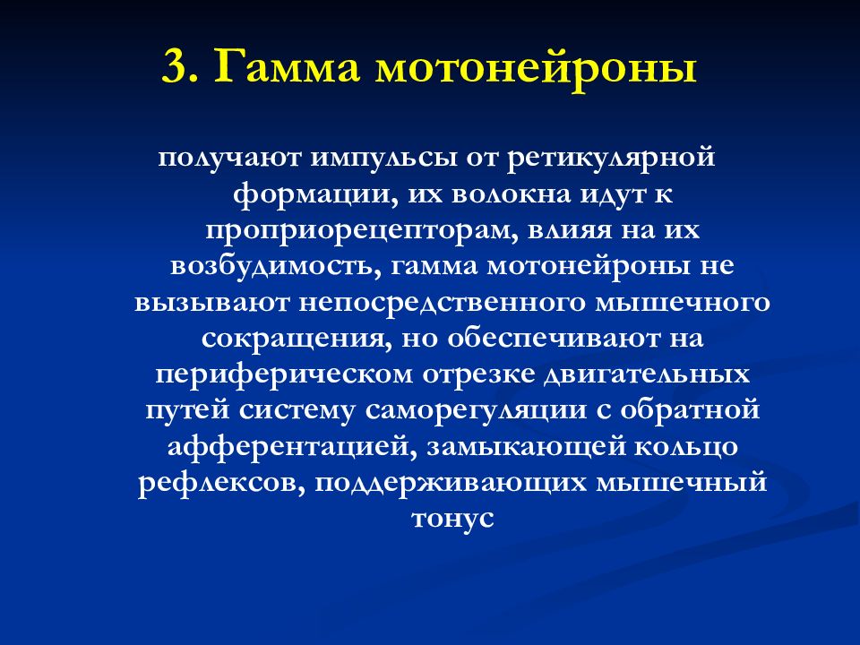 Гамма презентации. Альфа и гамма мотонейроны. Гамма мотонейроны спинного мозга. Гамма-мотонейроны осуществляют:. Роль гамма мотонейронов.