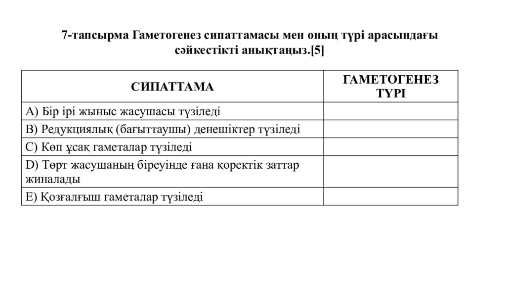 Гаметогенез. Адам гаметогенезінің сатылары. Сперматогенез бен оогенезді