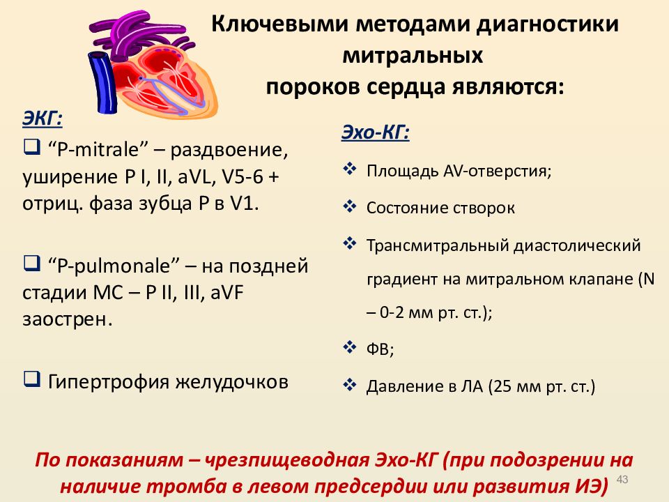 Блок схема пороки сердца