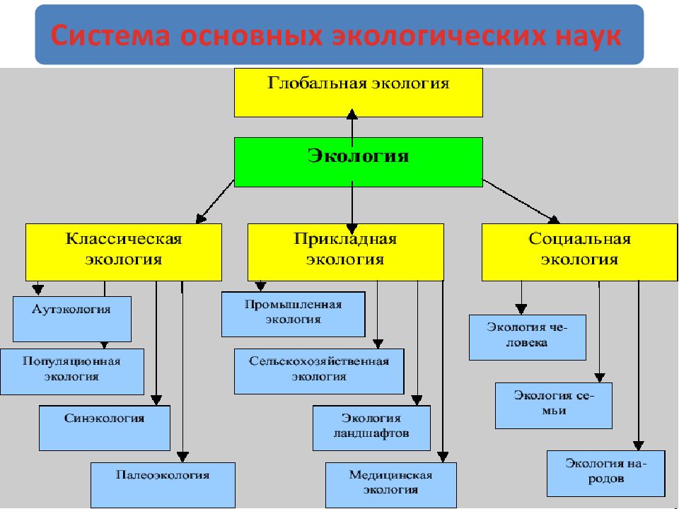 Экология это егэ русский