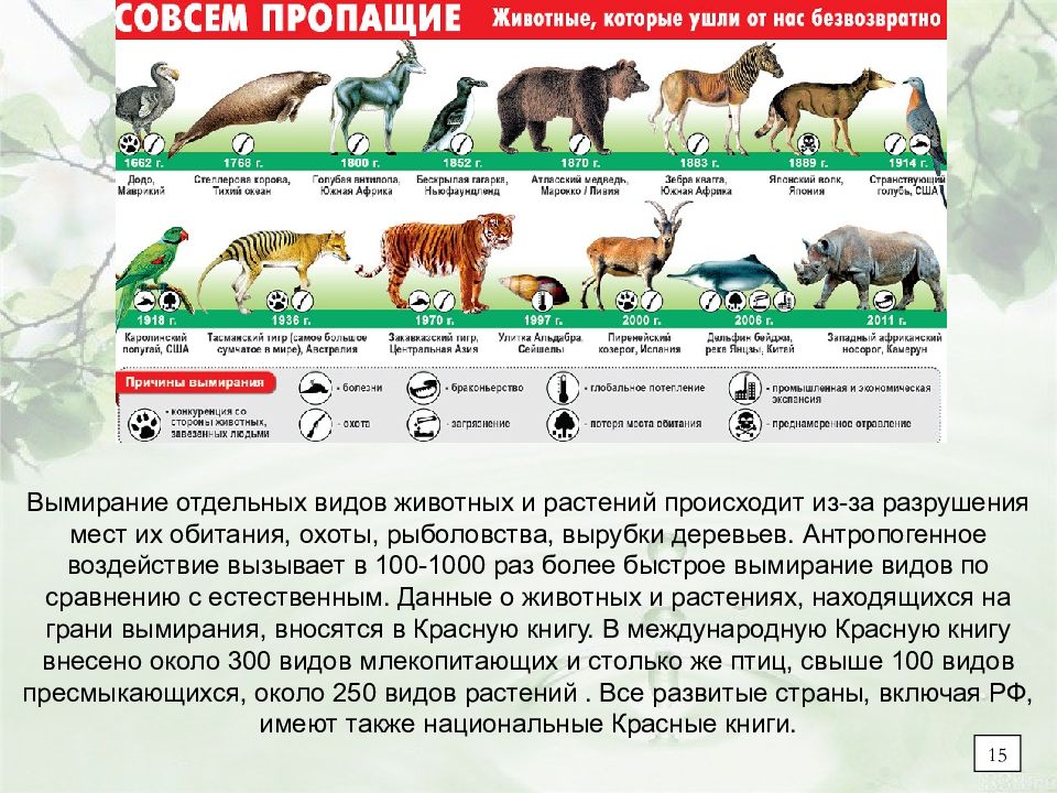 Презентация на тему вымирание животных и растений