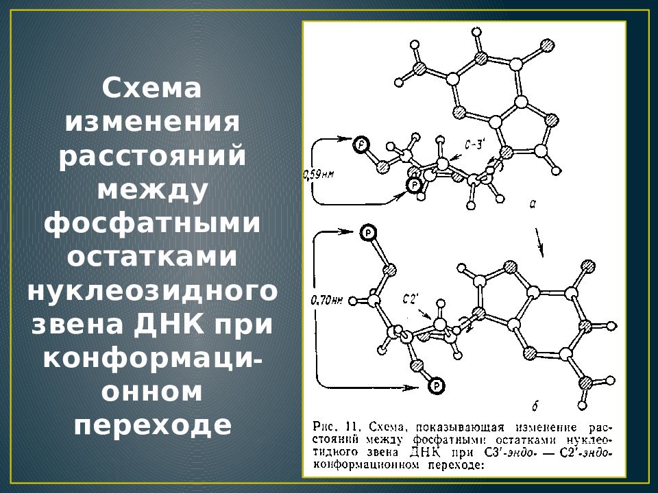 Автобусы мариинск карта