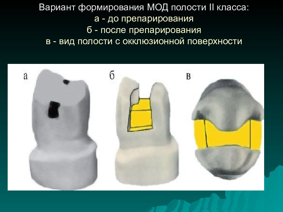 Презентация 2 класс по блэку