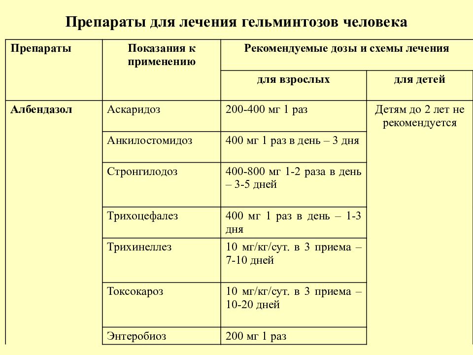 Схема лечения гельминтоза у взрослых