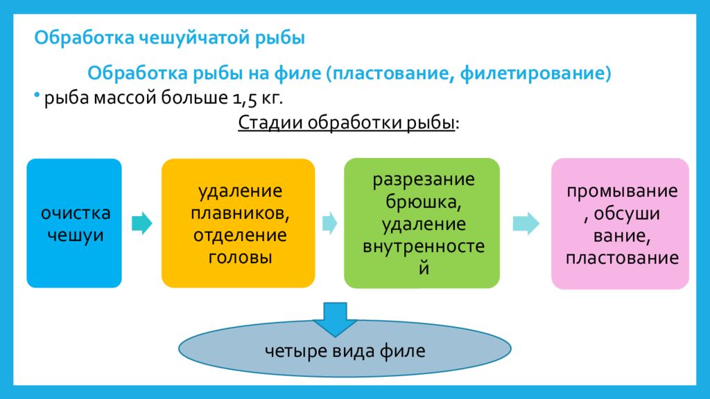 Первичная обработка чешуйчатой рыбы. Обработка рыбы. Схема разделки чешуйчатой рыбы. Схема разделки чешуйчатой рыбы. Первичная обработка чешуйчатой рыбы.