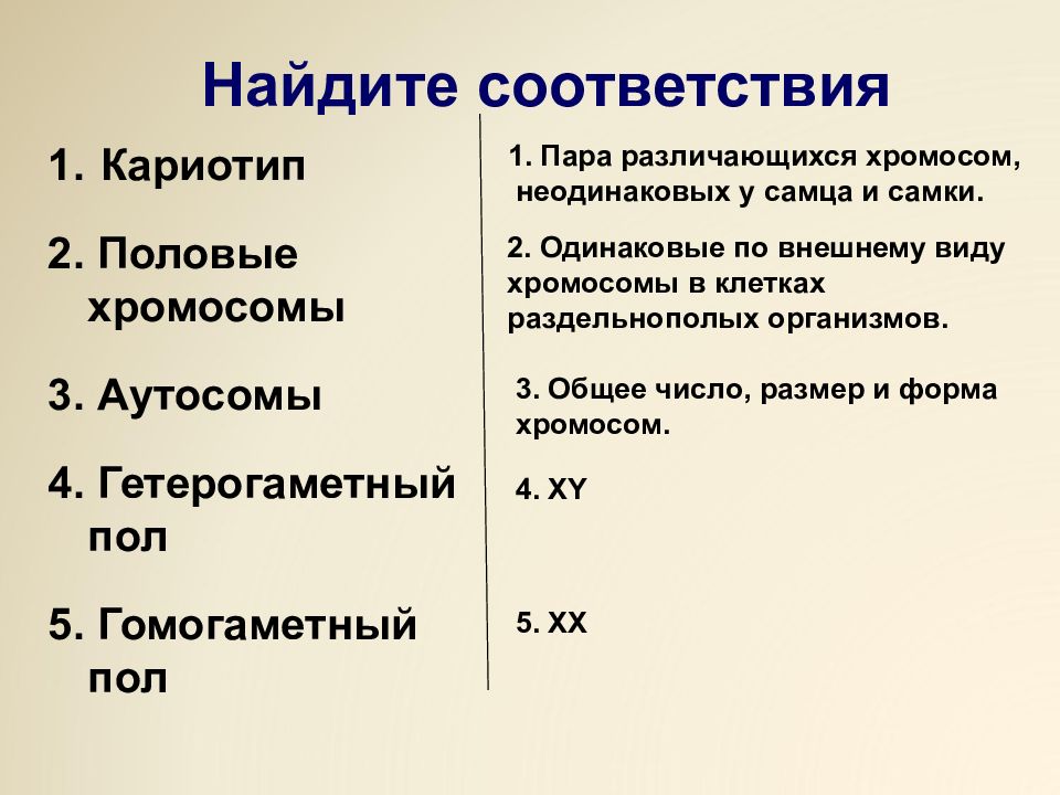 Хромосомы одинаковые у самцов и самок называются