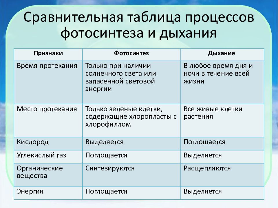 Сравнение дыхания. Сравнительная таблица процессов фотосинтеза и дыхания. Сравнительная таблица фотосинтеза и дыхания. Сравнение дыхания и фотосинтеза таблица. Таблица процессов.