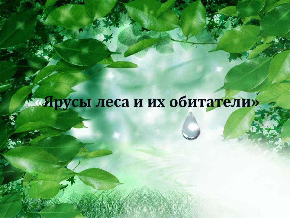 « Ярусы леса и их обитатели »