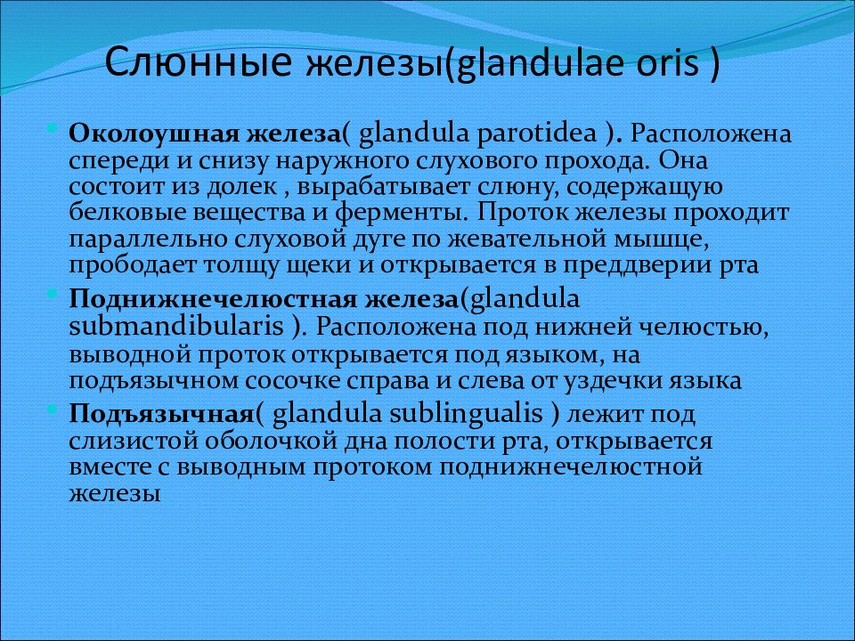 Glandulae перевод с латинского