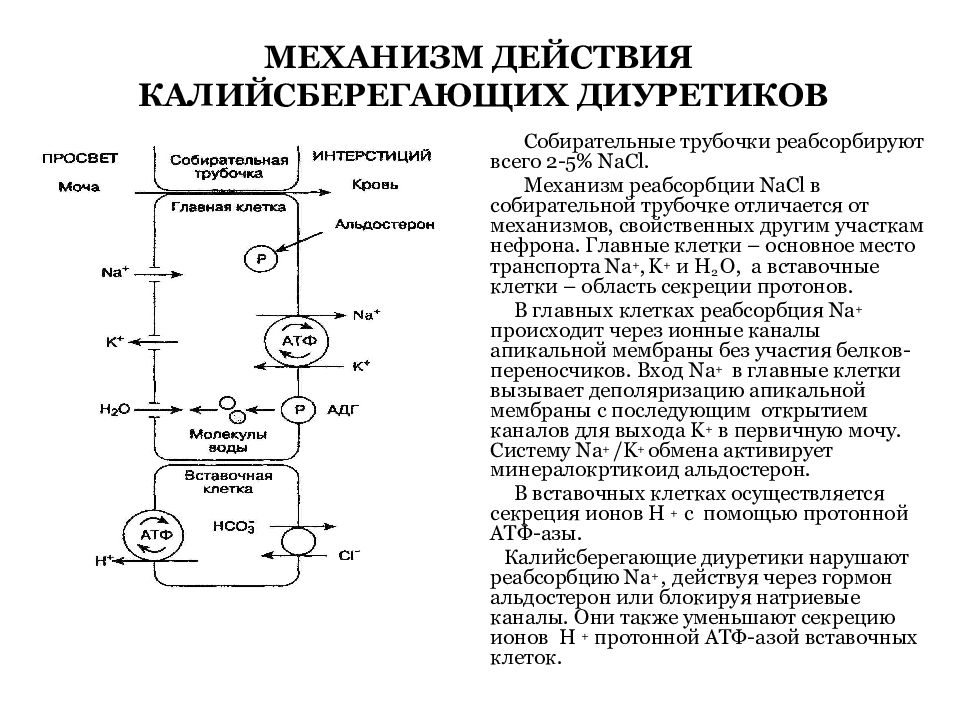 Презентация калийсберегающие диуретики