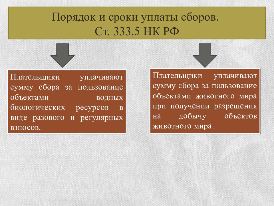 Сбор порядок. Сборы за пользование объектами животного мира. Порядок и сроки уплаты сбора. Плательщики сбора за пользование объектами животного мира. Сборы за пользование объектами животного мира и водных биологических.