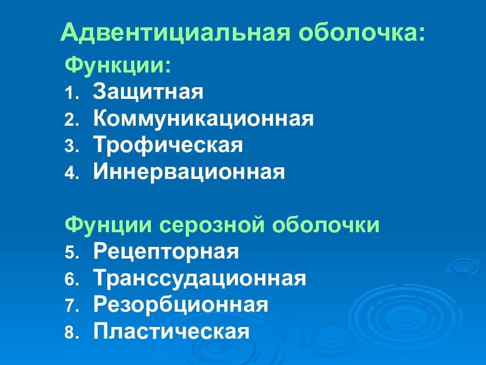 Функции оболочки. Адвентициальная оболочка функции. Серозная оболочка функции. Адвентициальные клетки функции. Адвентициальные клетки соединительной ткани функции.