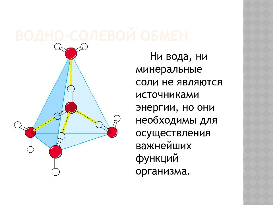 Водно-солевой обмен