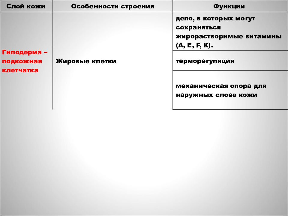 Презентация строение и функции кожи 8 класс. Углубление и расширение европейской интеграции. Проблемы европейской интеграции. Проблемы европейской интеграции углубление и расширение ЕС. Этапы европейской интеграции таблица.