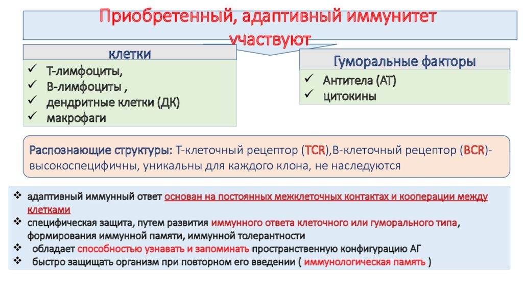 Приобретенный фактор. Гуморальные факторы адаптивного иммунитета. Основные гуморальные факторы адаптивного иммунитета. Адаптивный иммунитет гуморальные и клеточные факторы. Адаптивный приобретенный иммунитет гуморальные и клеточные факторы.