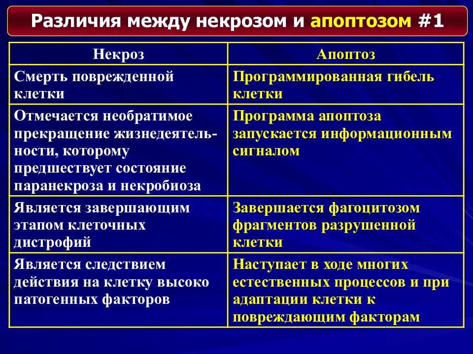 Основные механизмы повреждения клеток схема