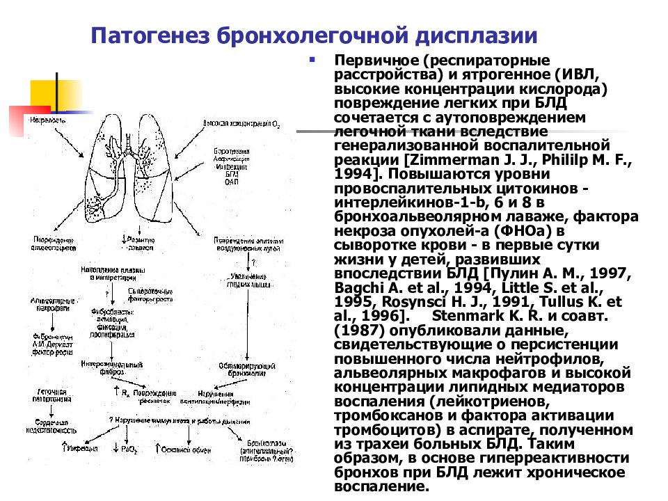 Бронхолегочная дисплазия презентация