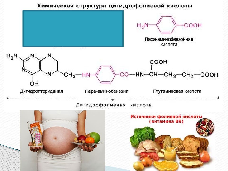 Презентация по аминам