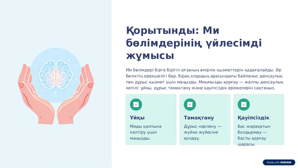 Ми бөлімдері: 7-сынып биологиясы Бұл презентация ми бөліктерінің құрылымы мен