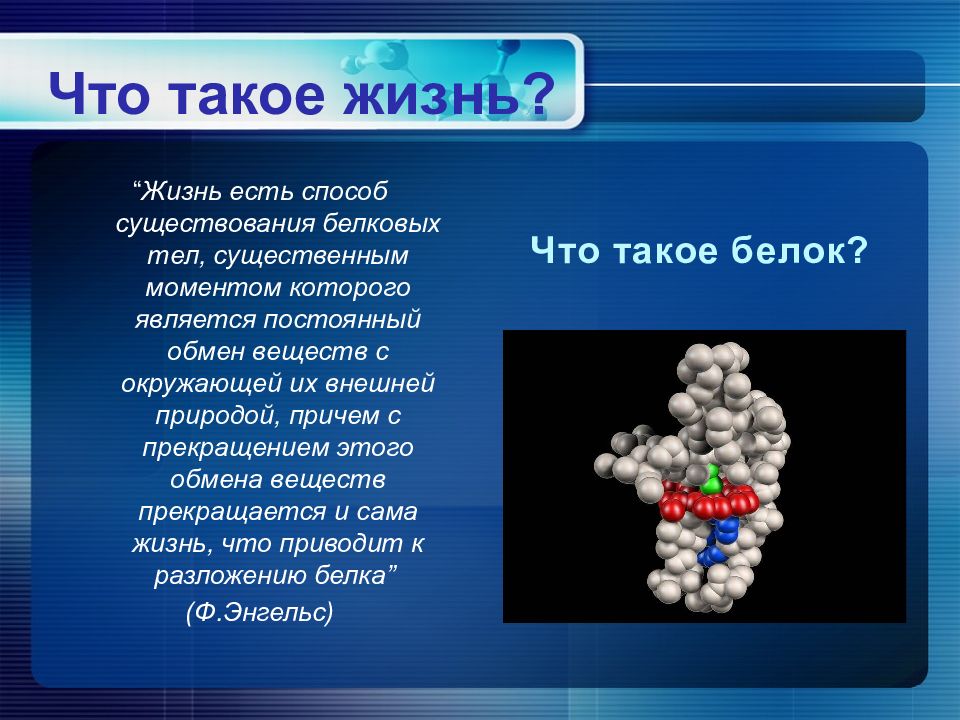 Жизнь есть способ существования белковых тел. Жизнь это способ существования белковых тел. Жизнь это способ существования белковых тел реферат по химии. Мерцание белковых тел. Белковые тела коры.