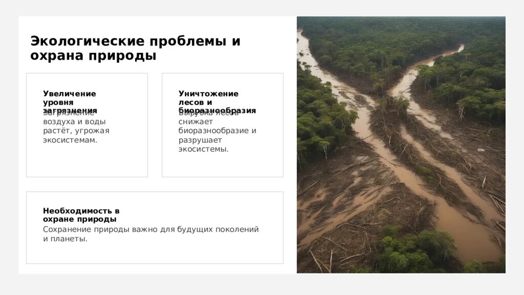 Экологические проблемы и охрана природы