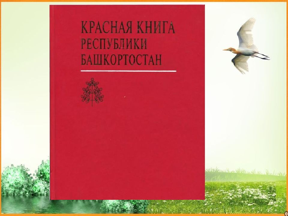 Презентация красная книга башкортостана животные