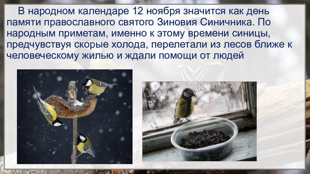 12 ноября – Синичкин день