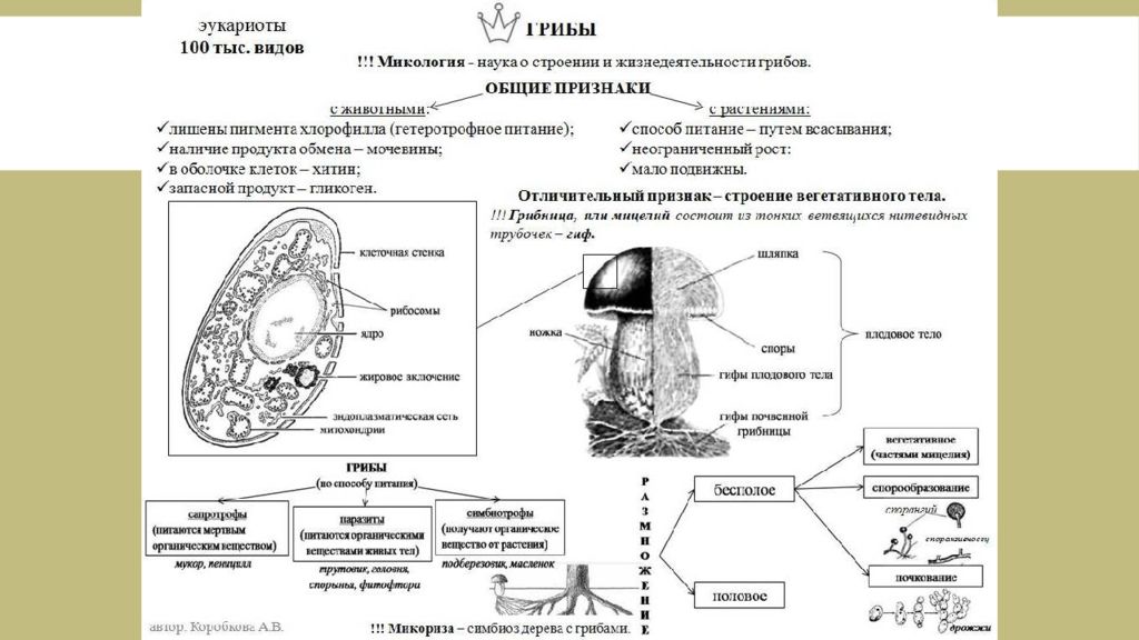 Подготовка к огэ биология презентация