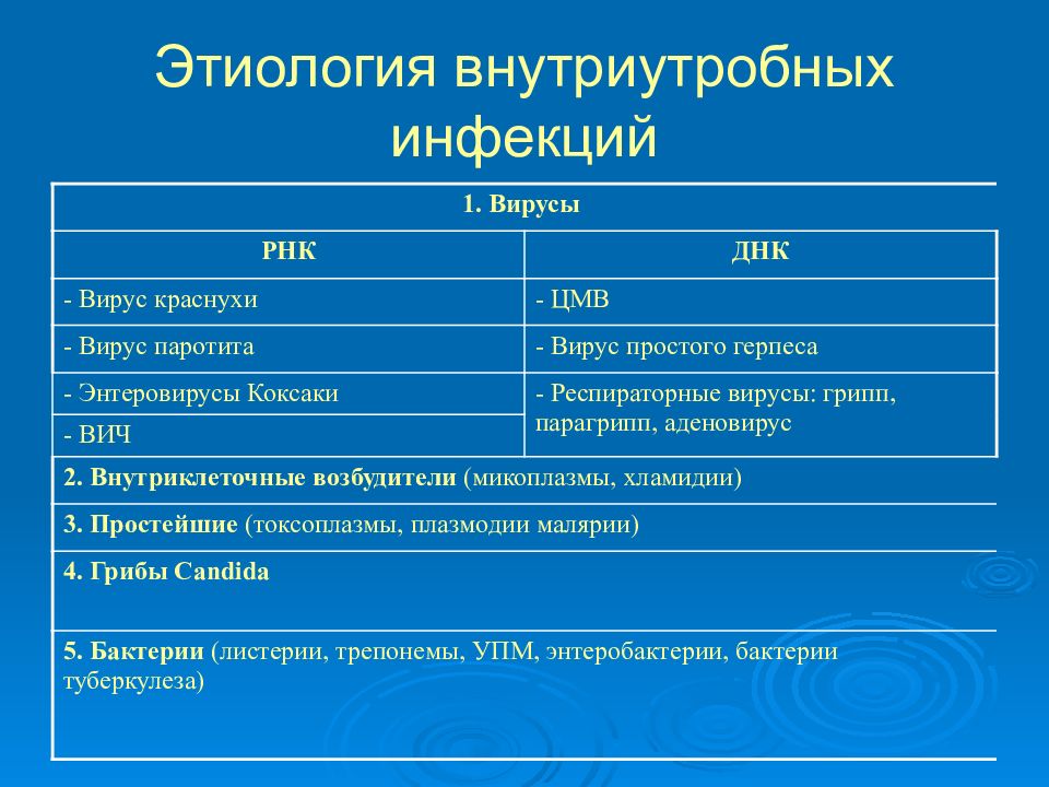 Схема патогенеза внутриутробной инфекции у плода