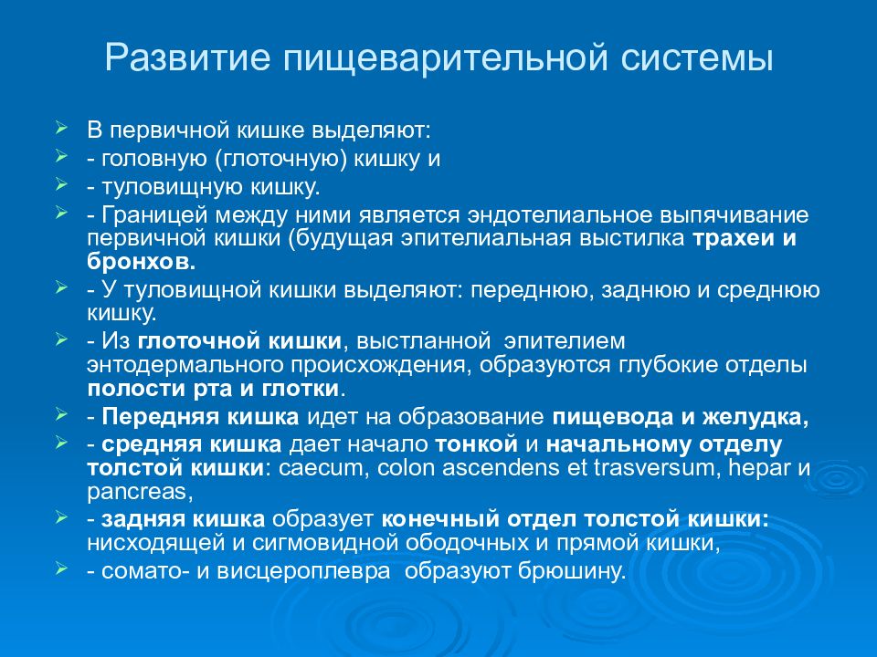 Развитый орган. Развитиепишеварительной системы. Развитие пищеварительной системы. Формирование системы пищеварения. Эмбриогенез пищеварительной системы.