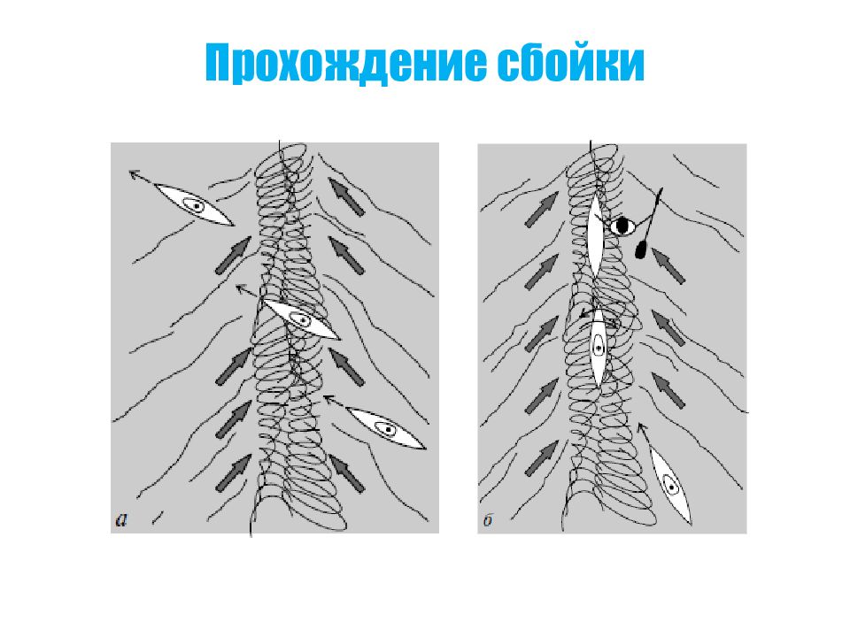 Выбранная линия. Динамика водного потока.