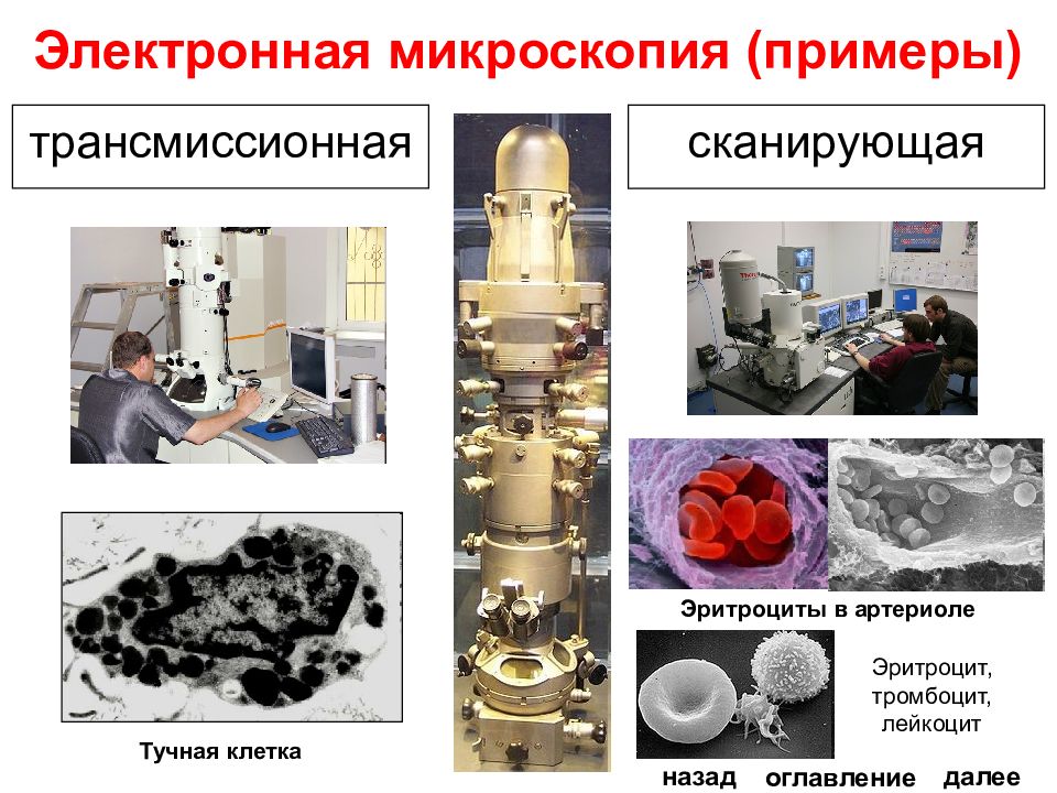 Электронная микроскопия презентация