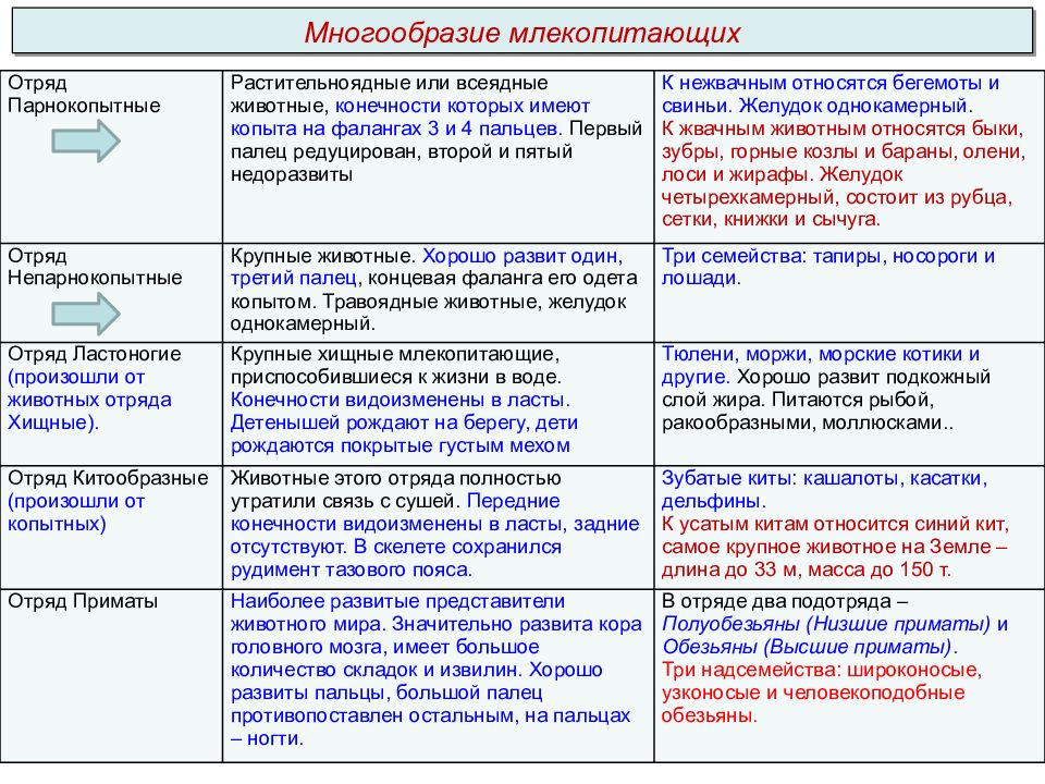 Биология 7 класс отряды млекопитающих презентация 7 класс