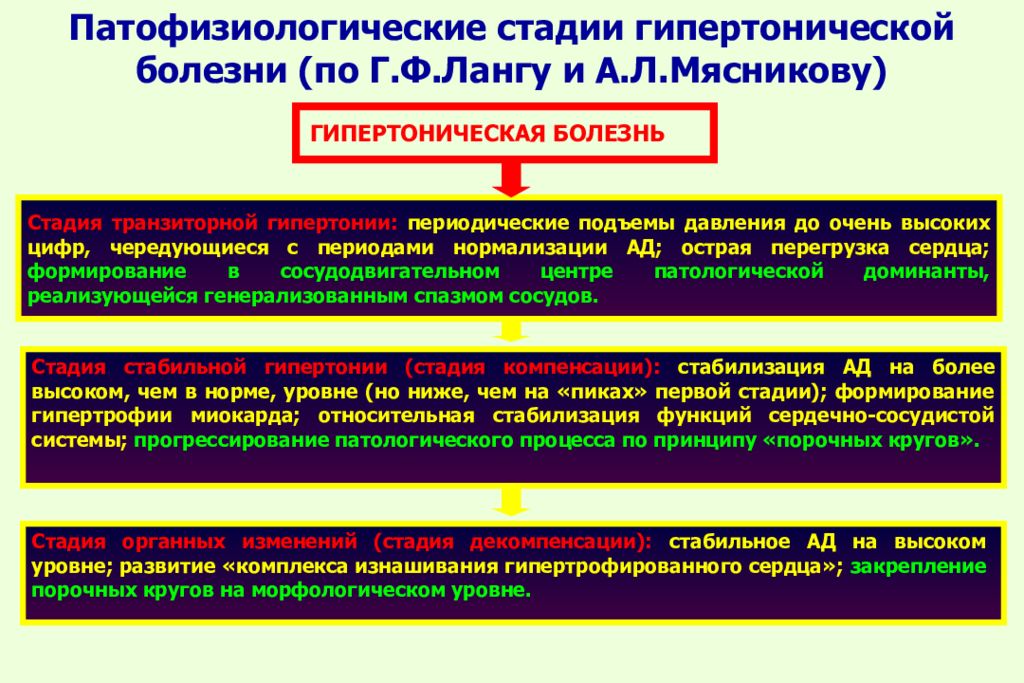 Фазы патологического процесса