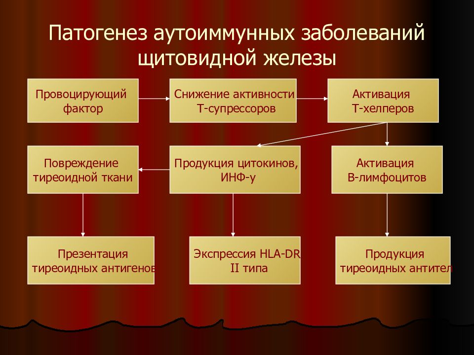 Схема патогенеза аутоиммунных заболеваний