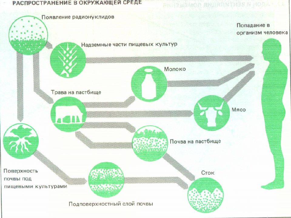 Химия в окружающей среде презентация