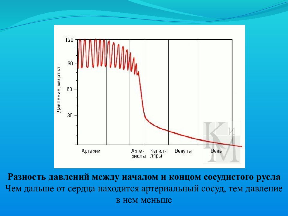 Давление в аорте. Разность давлений. Разность давления в сосудах. Давление крови в венулах. Разность давлений в начале и в конце сосуда.