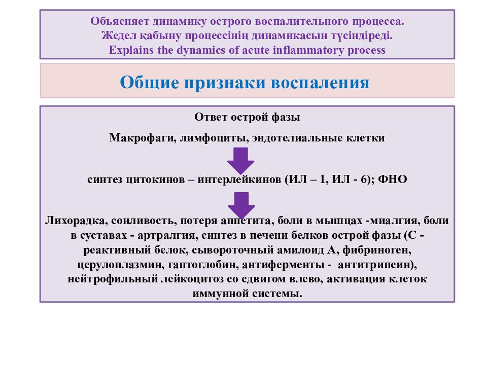 Воспаление ответ. Острый воспалительный ответ. Ответ острой фазы воспаления. Проявления ответа острой фазы. Цитокины острой фазы.