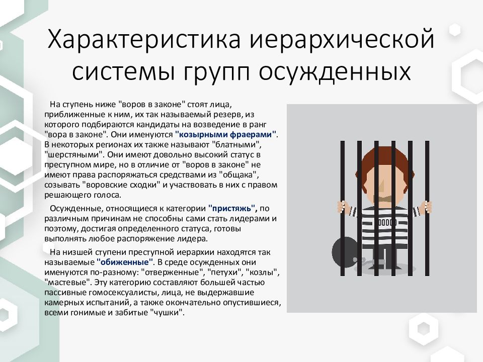 Презентация на тему пенитенциарная психология