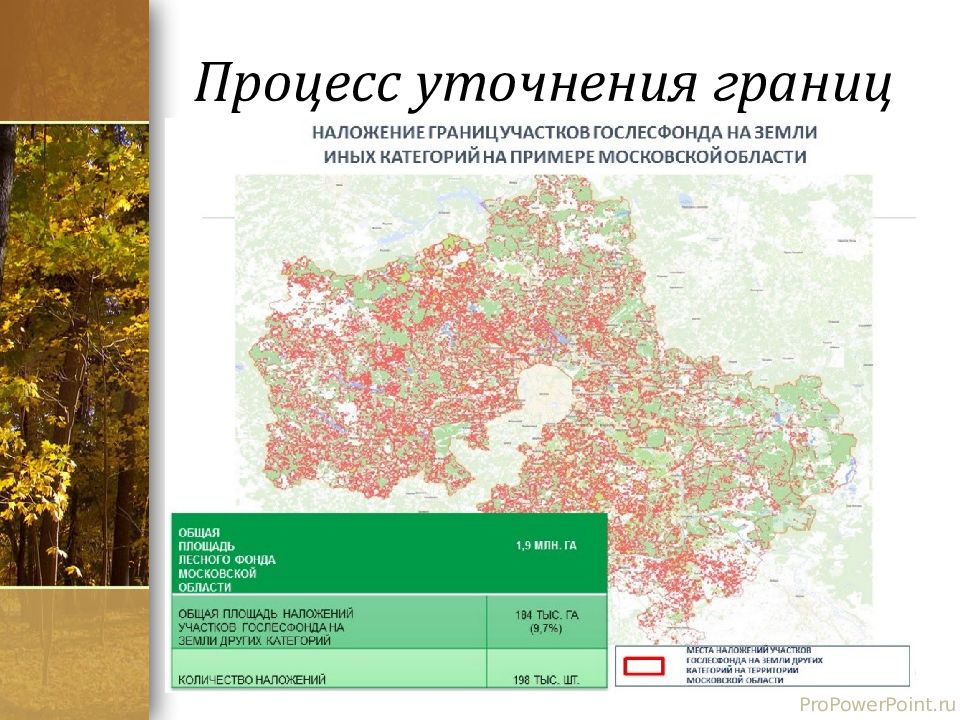 Лесной фонд московской области карта