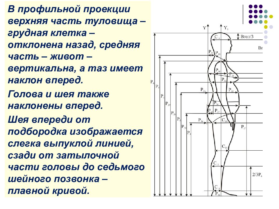 Верхняя проекция