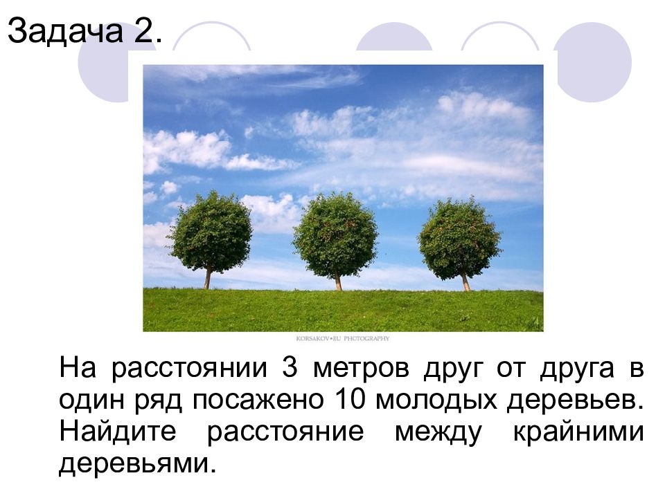 5 м друг друга. Расстояние деревьев друг от друга. Расстояние между рядом деревьев. Задачи длины между деревьями. 3 Метра расстояние.