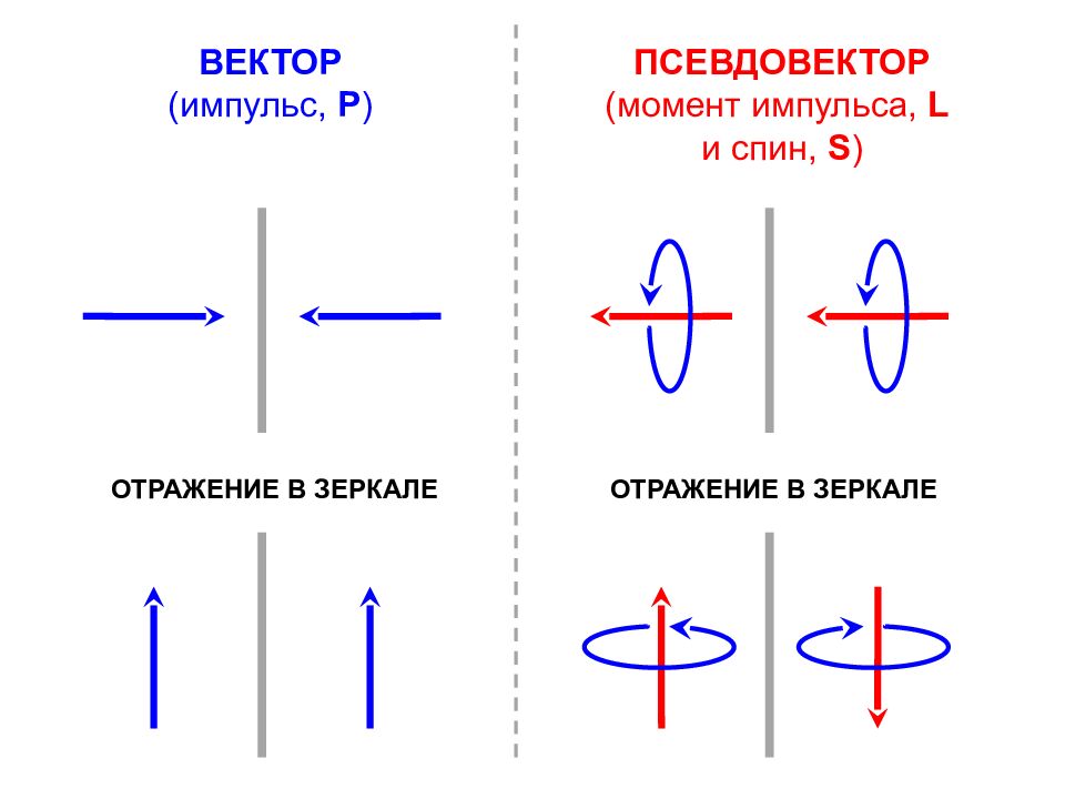 Приложения математического аппарата СПИНОВОЙ МОМЕНТ (или просто СПИН )