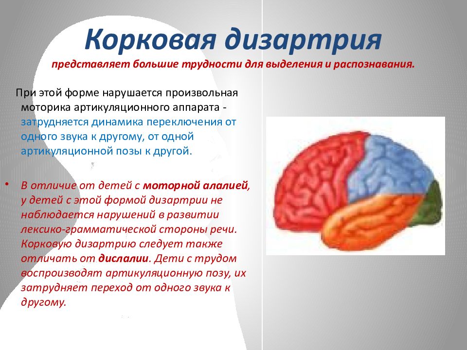 Мозжечковая дизартрия презентация