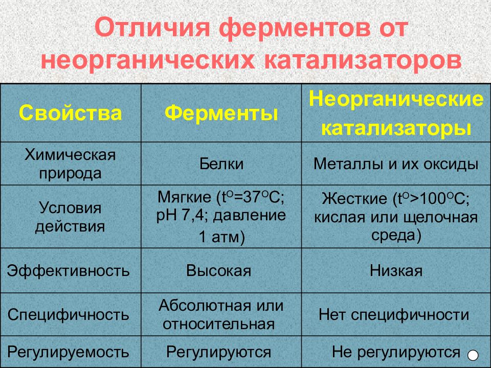 Презентация на тему ферменты 10 класс