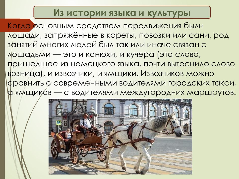 Лошадь не запряжена как пишется. Сани род. Сани какой род. Как запрягают лошадей в карету. Запрячь как пишется.