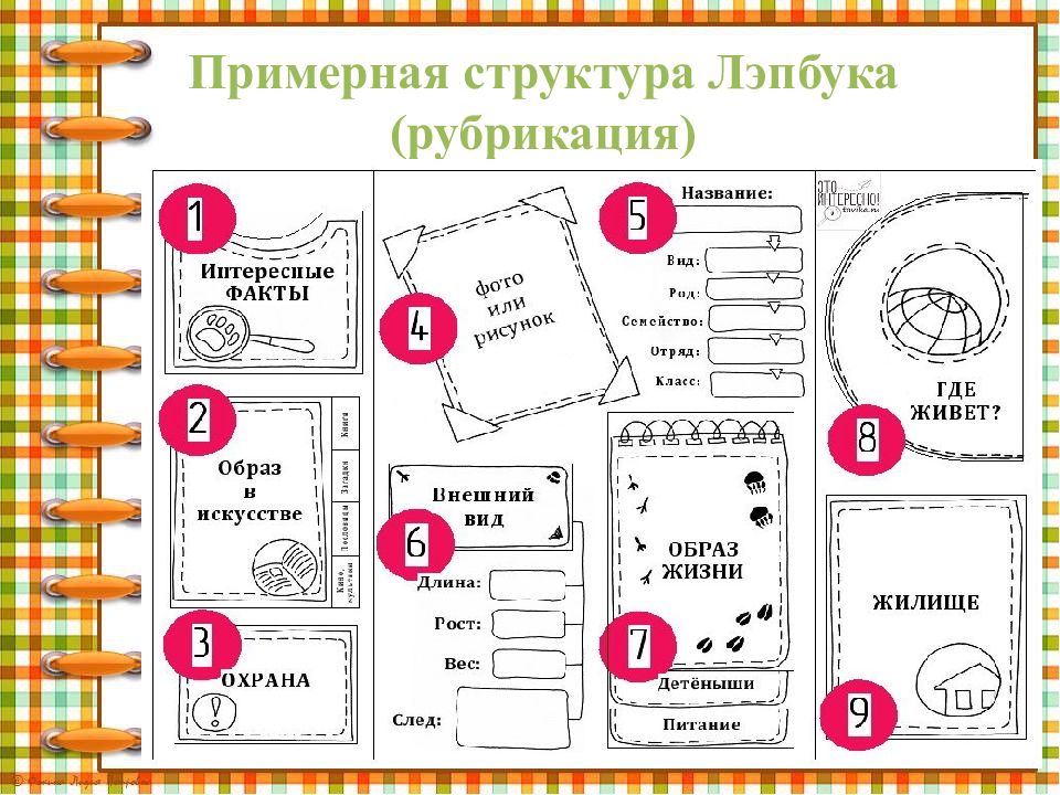 Проект лэпбук для дошкольников