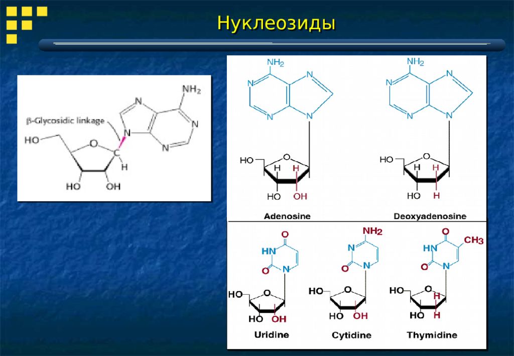 Биога. Производные нуклеозидов. Аналоги нуклеозидов. Полиамины ароматические. Биогенные Амины аденозин.