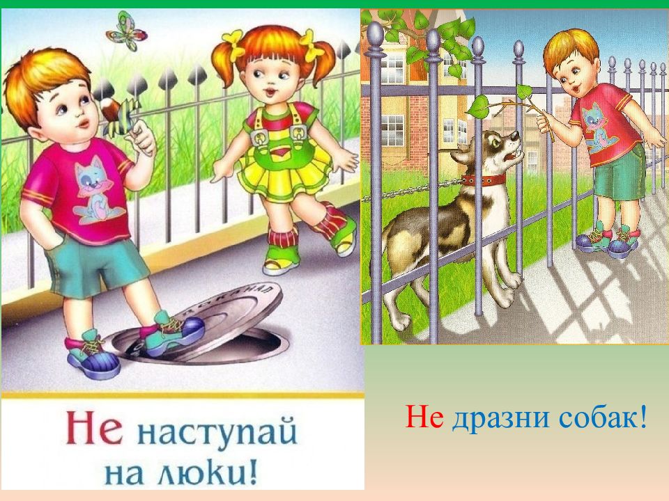 Не дразни собак картинки для детей